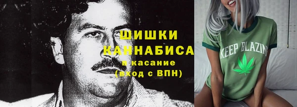 стаф Вязники