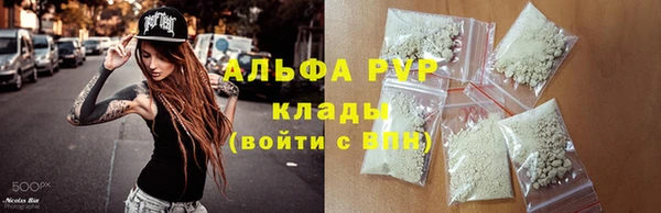 винт Горно-Алтайск