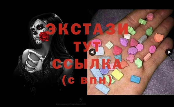 гашик Сясьстрой