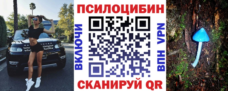 Псилоцибиновые грибы мицелий  площадка Telegram  blacksprut вход  Инза  купить  